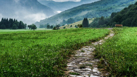 Path through a meadow with misty mountains in the background