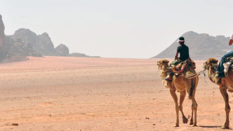 Two people riding camels across the desert in Saudi Arabia