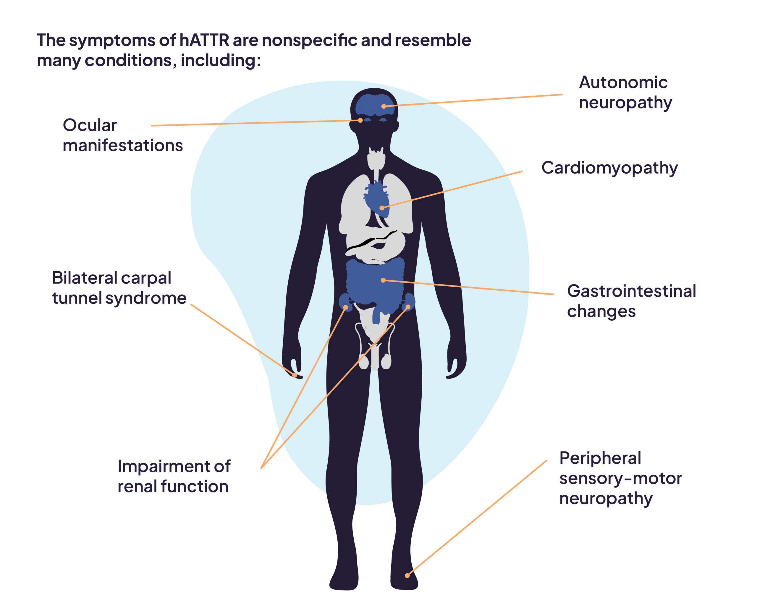 hATTR Signs and Symptoms